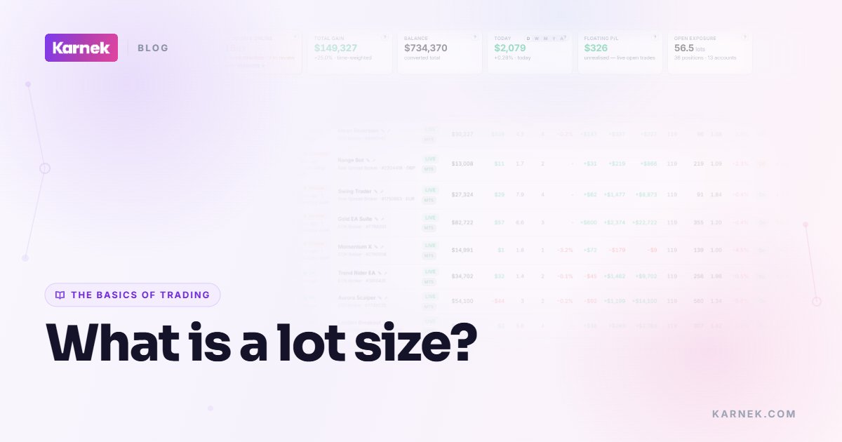 What is a lot size?