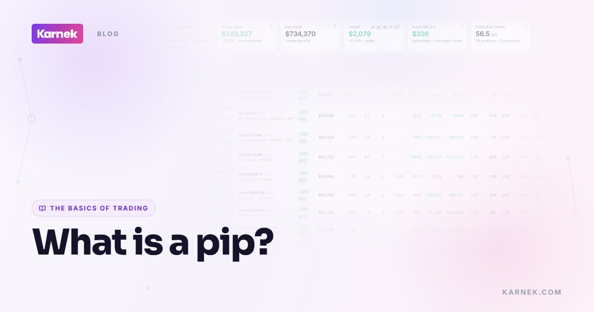 What is a pip?