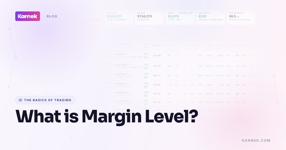 What is Margin Level?