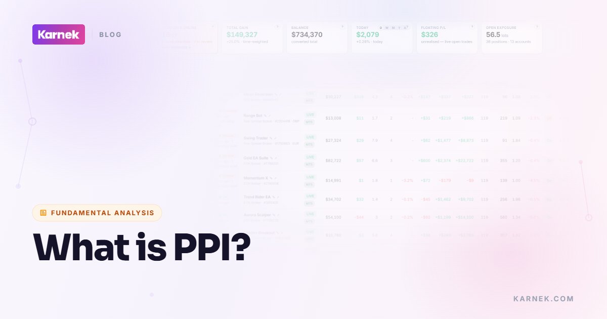 What is PPI?